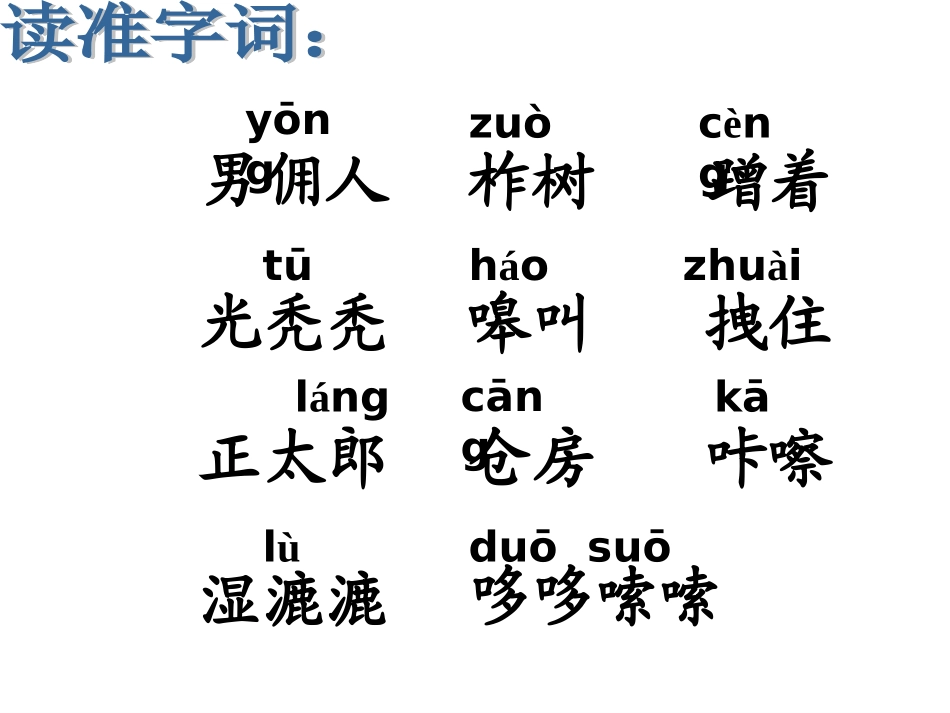 24金色的脚印_第3页