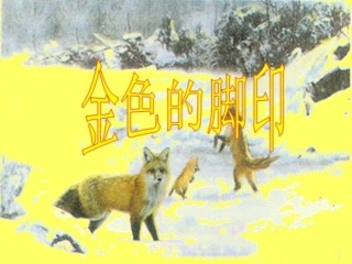 24金色的脚印