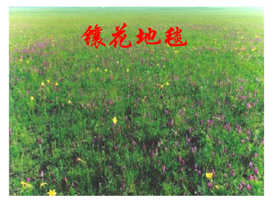 第一课《草原》课件2 (3)_第3页