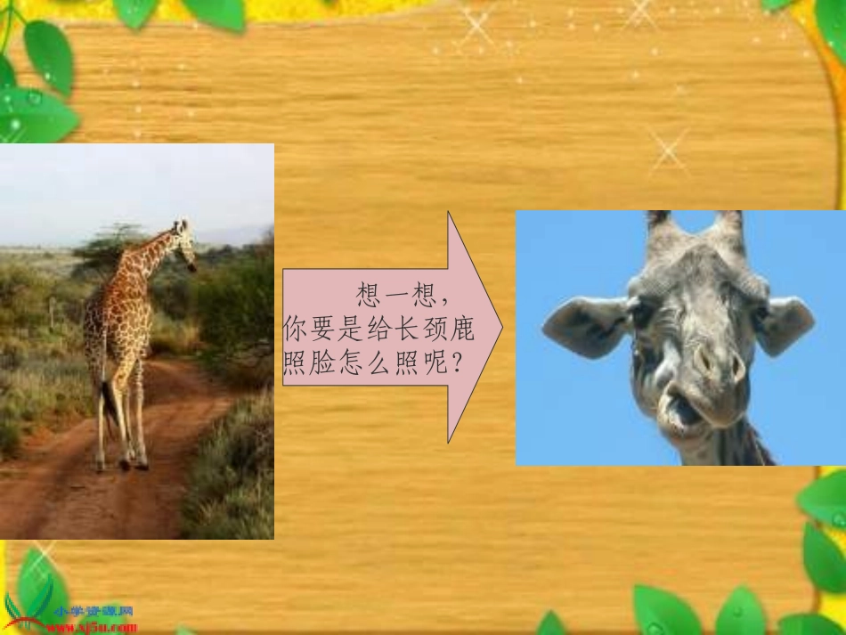 第九板块《动脑筋照相》_第1页