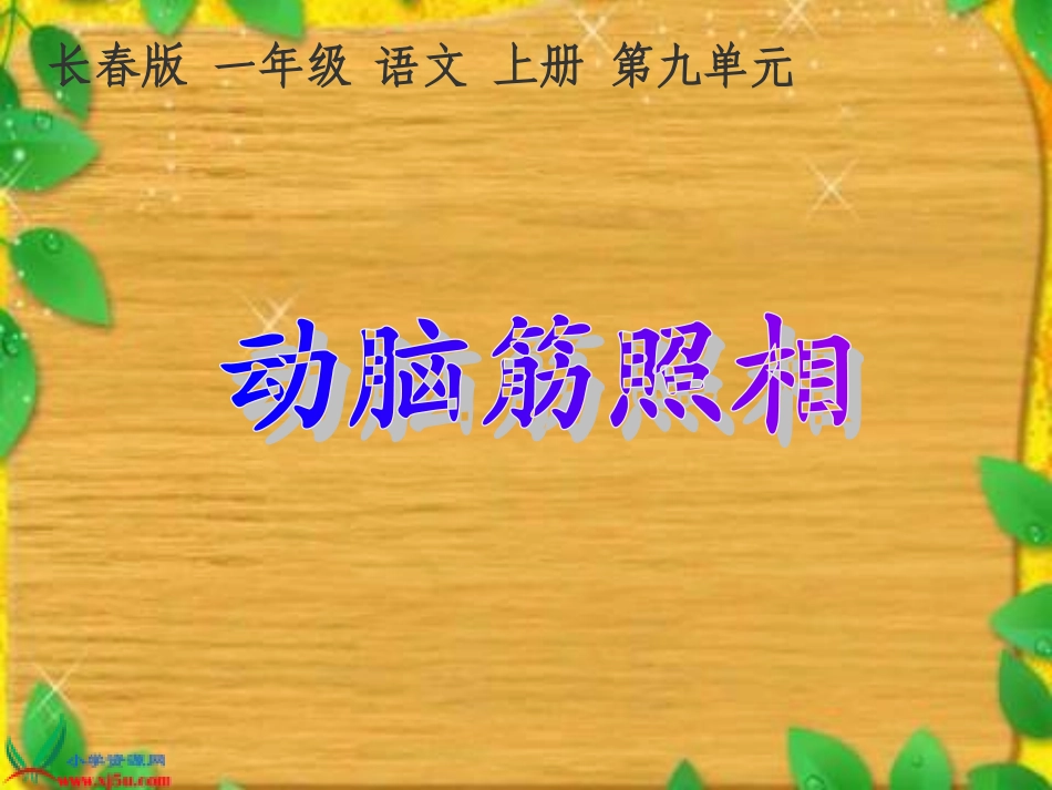 第九板块《动脑筋照相》_第2页