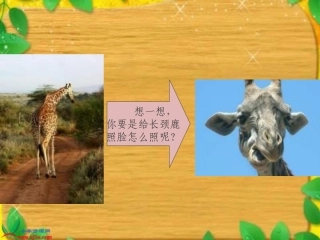 第九板块《动脑筋照相》