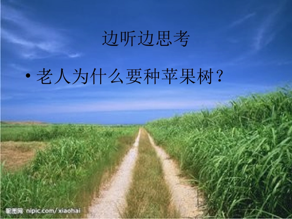 老人种苹果树_第2页