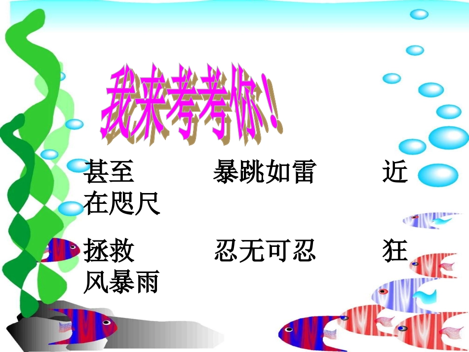 第十一板块这条小鱼在乎_第1页