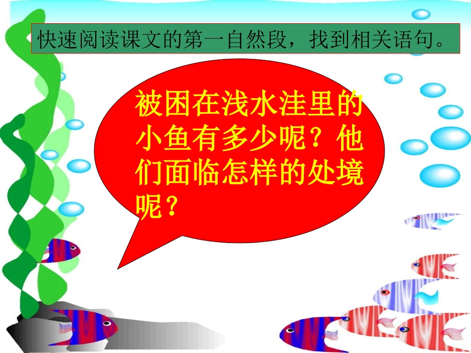 第十一板块这条小鱼在乎_第3页