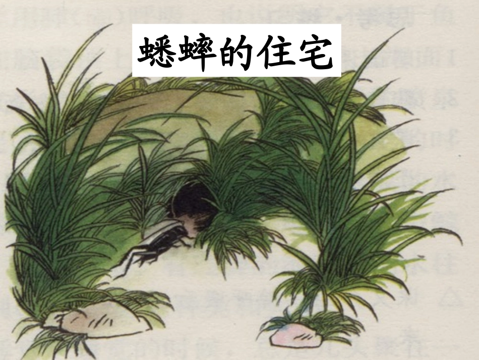 7蟋蟀的住宅2_第3页