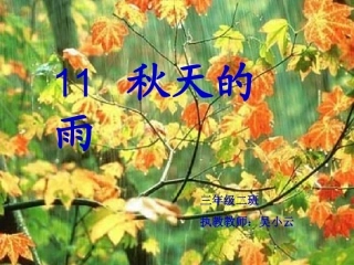 秋天的雨 (8)