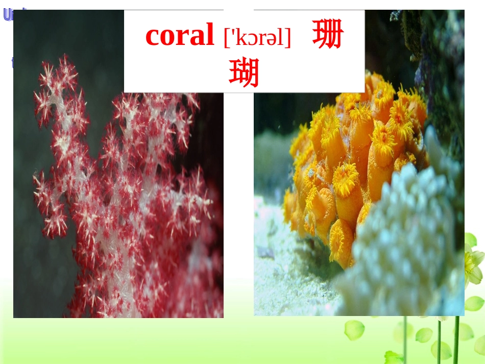 unit3课件 (3)_第2页