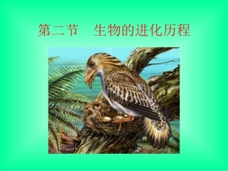 生物进化的历程