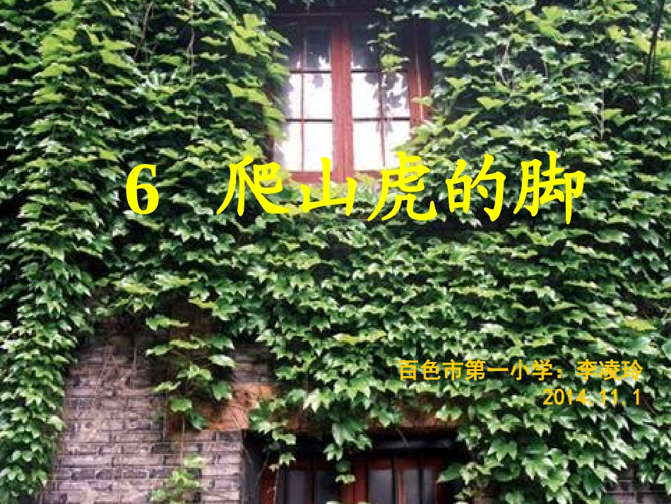 6爬山虎的脚PPT_第1页