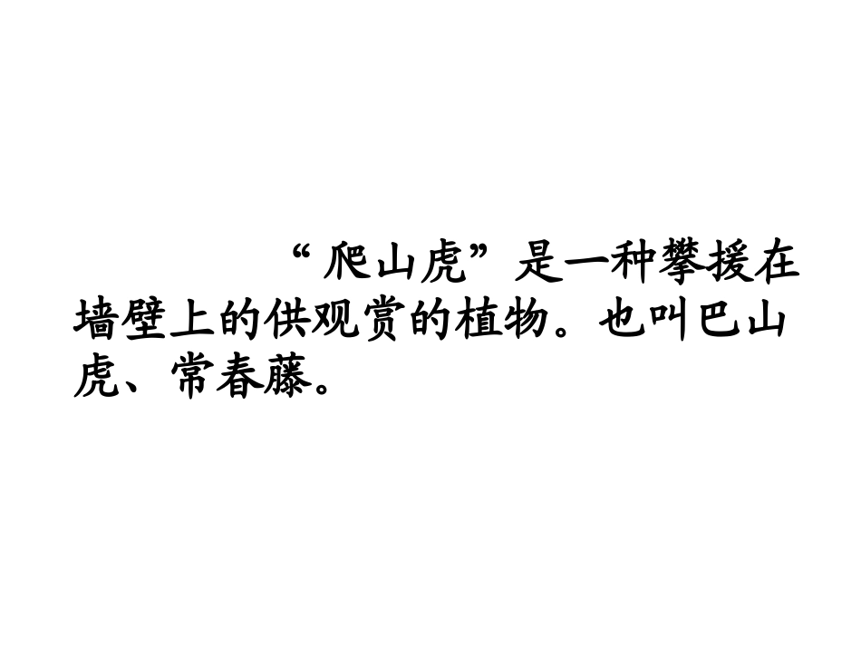 6爬山虎的脚PPT_第2页