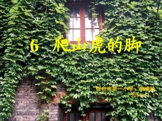 6爬山虎的脚PPT