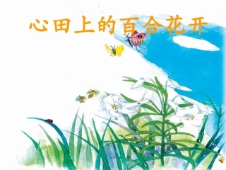 心田上的百合花