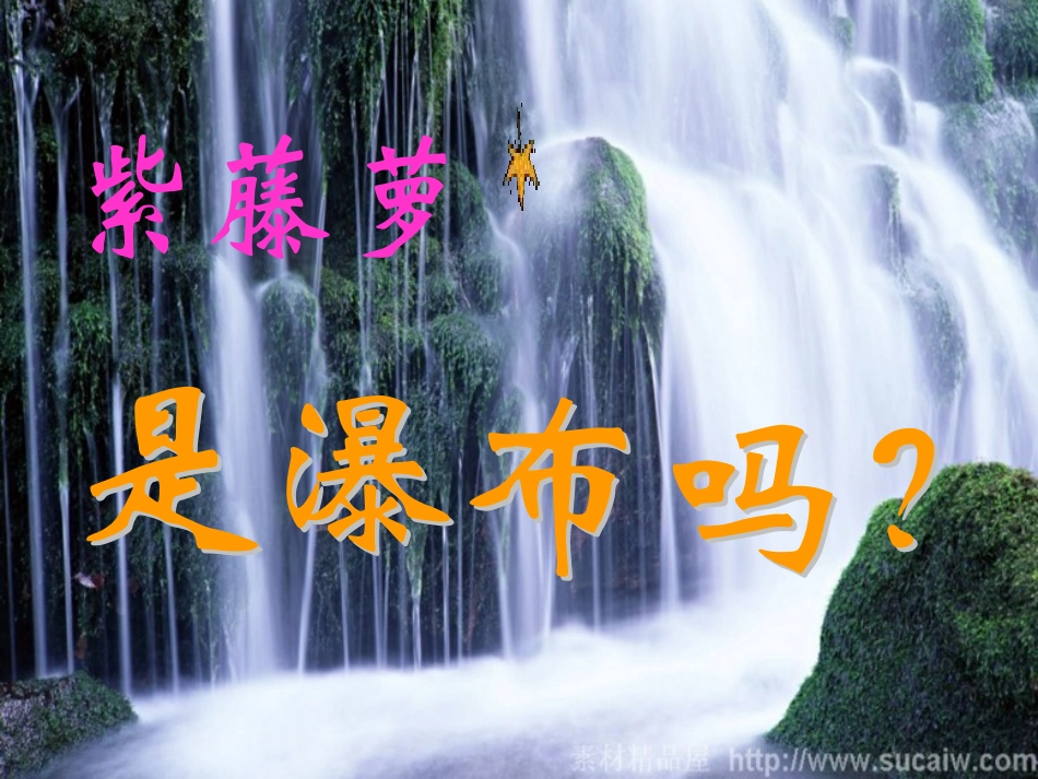 紫藤萝瀑布课件_第3页