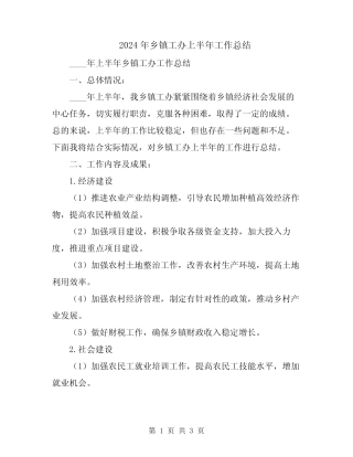 2024年乡镇工办上半年工作总结