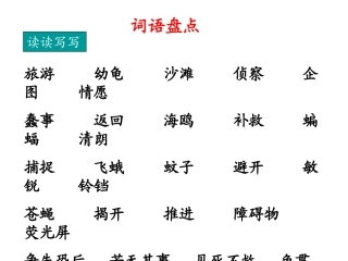 园地三演示文稿
