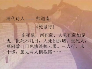 生物与环境的关系