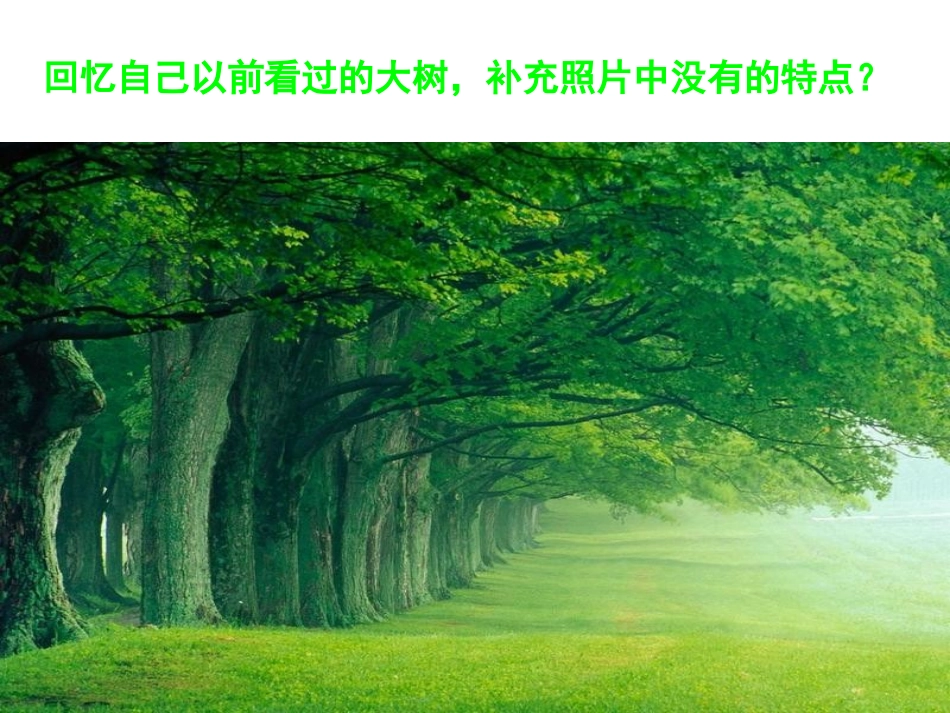 我看到了什么_第3页
