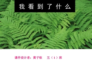我看到了什么