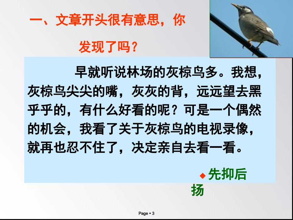 五下26灰椋鸟_第3页