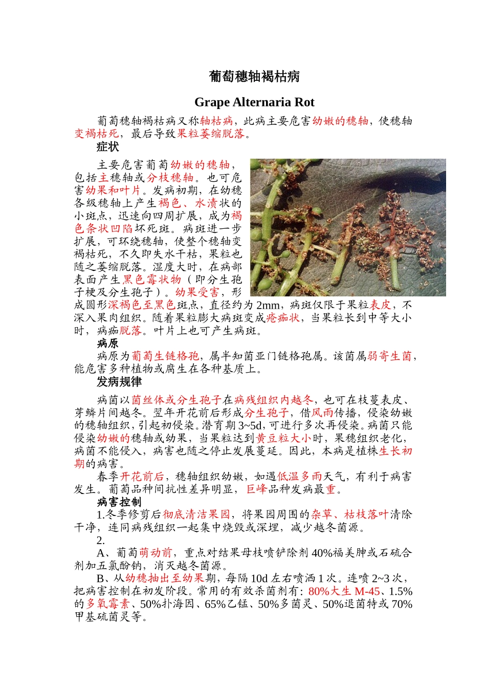 葡萄穗轴褐枯病_第1页