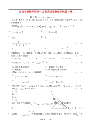 云南省楚雄师院附中09届高三数学检测试题（理）