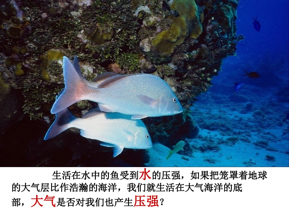 大气压强学案_第2页