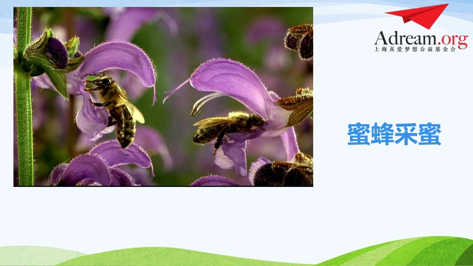 第8-9课时《微观世界》_第3页