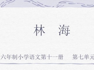 《林海》PPT