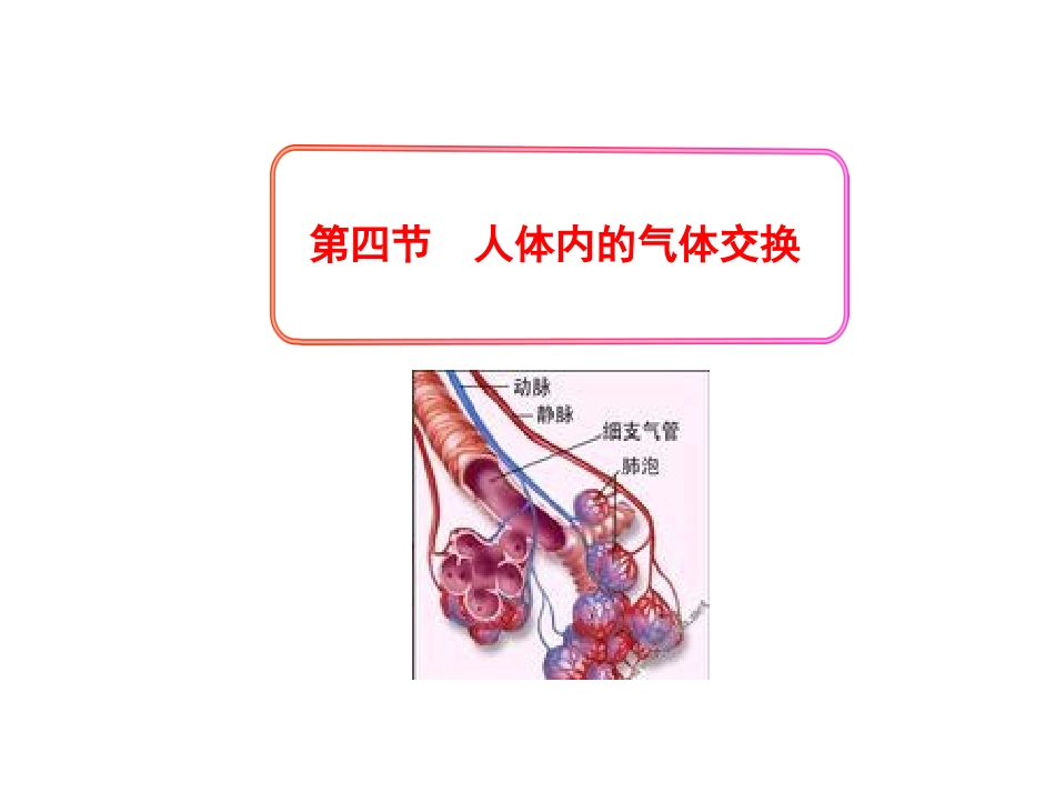 第10章第四节人体内的气体交换_第1页