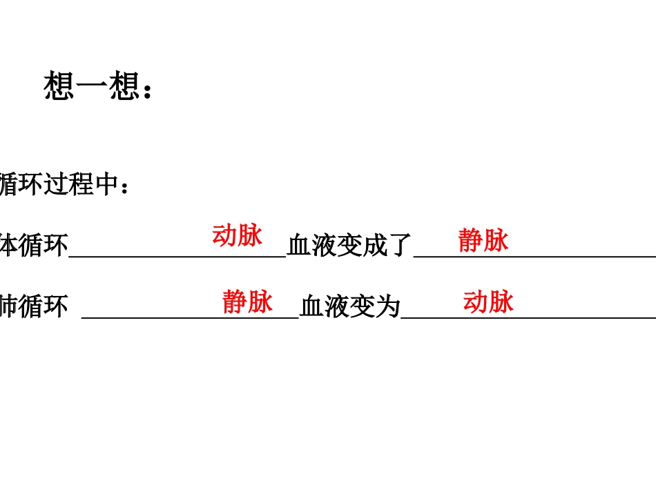 第10章第四节人体内的气体交换_第2页
