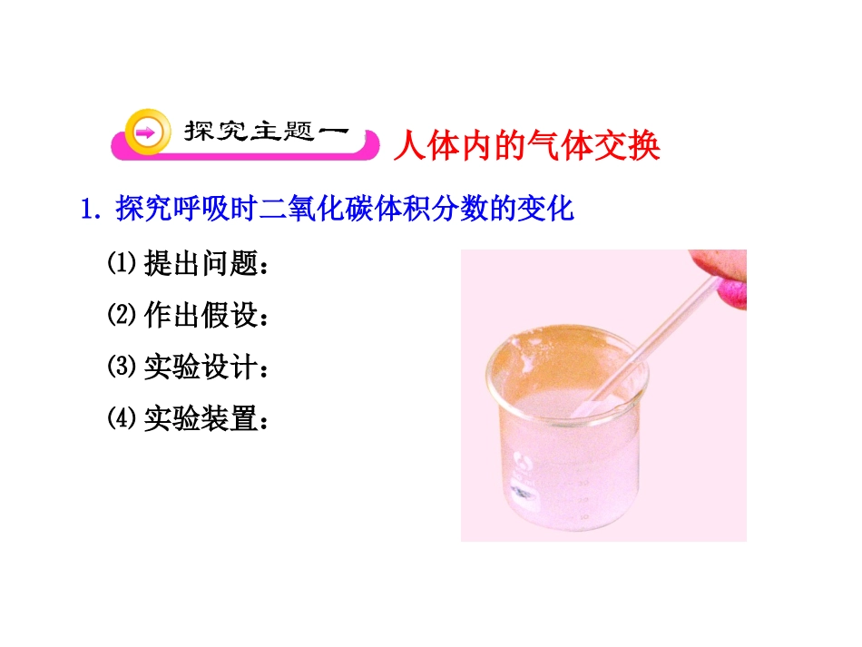 第10章第四节人体内的气体交换_第3页