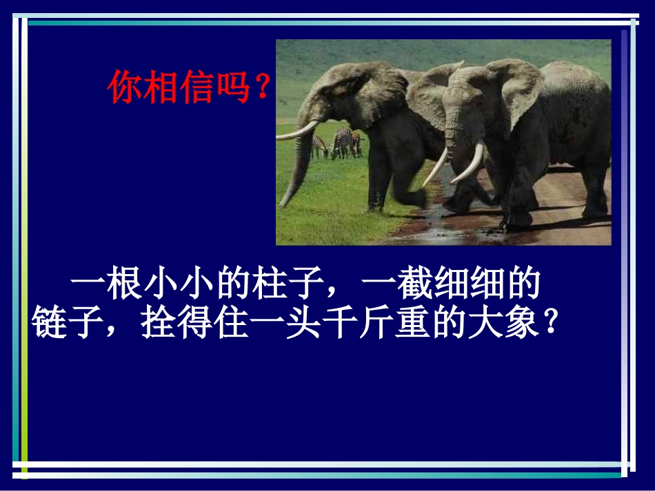 习惯主题班会_第3页