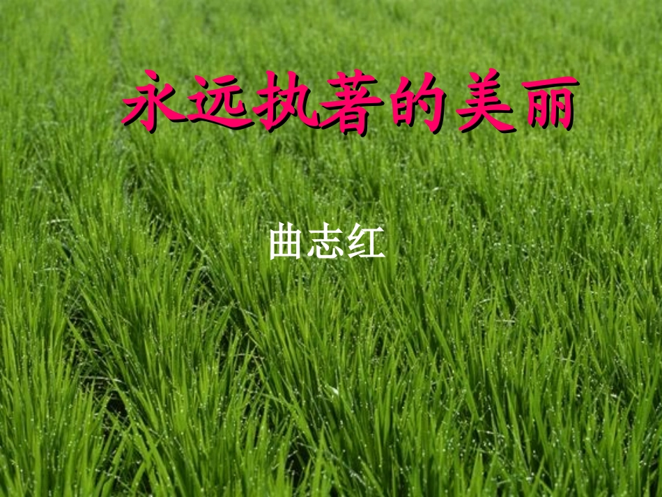 永远执着的美丽_第1页