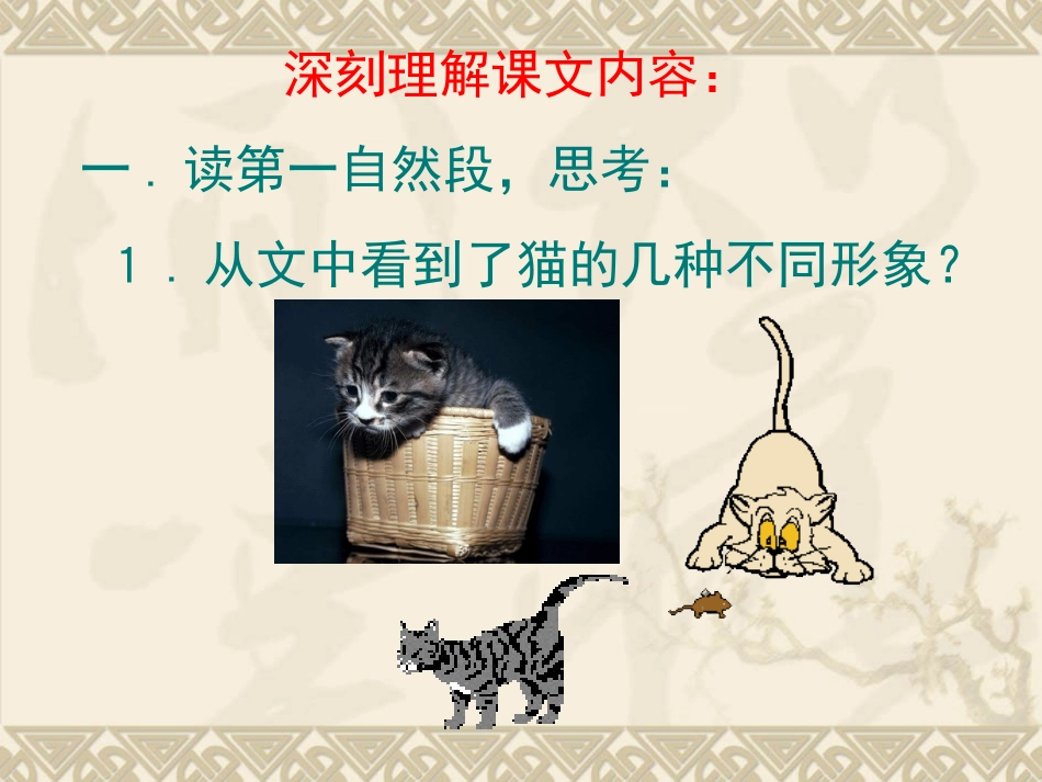 猫的课件演示PPT_第3页