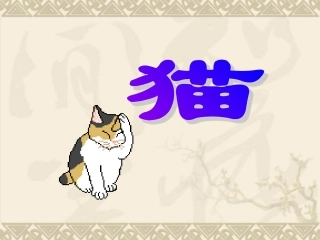 猫的课件演示PPT
