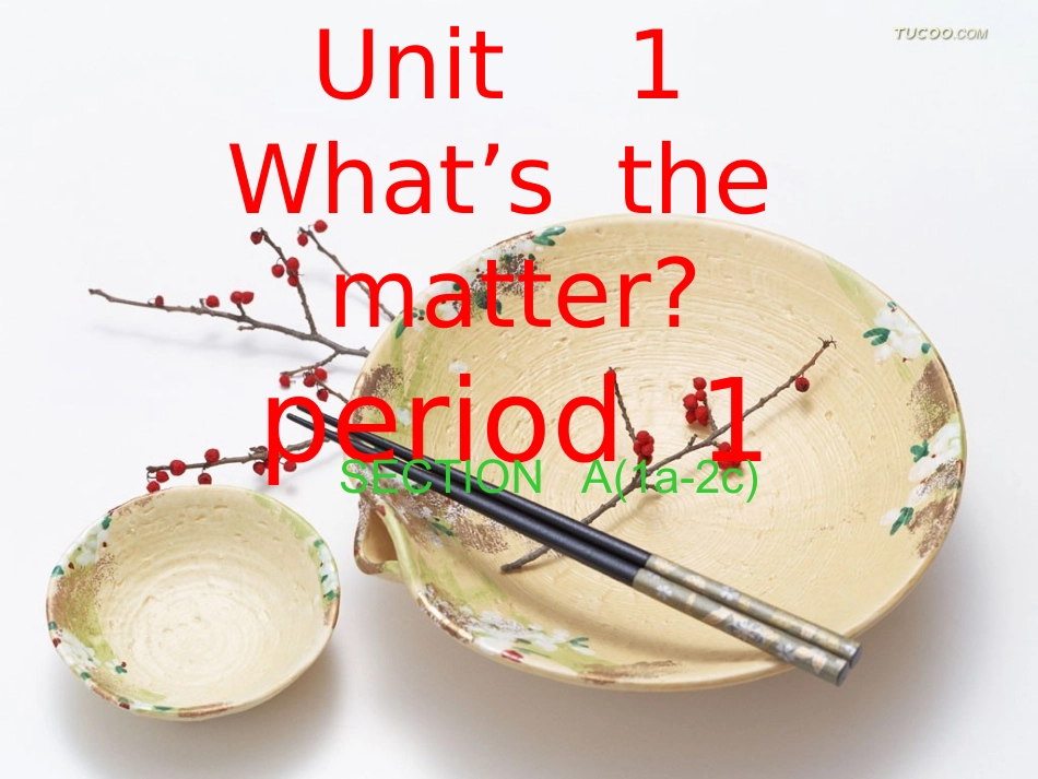 unit1_whats_the_matter_第一课时模二_第1页