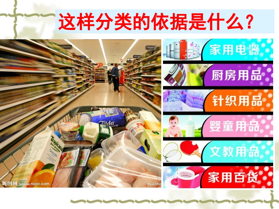 6-1-1尝试对生物进行分类_第3页
