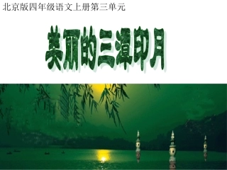 美丽的三潭印月