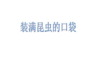 装满昆虫的口袋