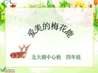 第七版块爱美的梅花鹿 (2)