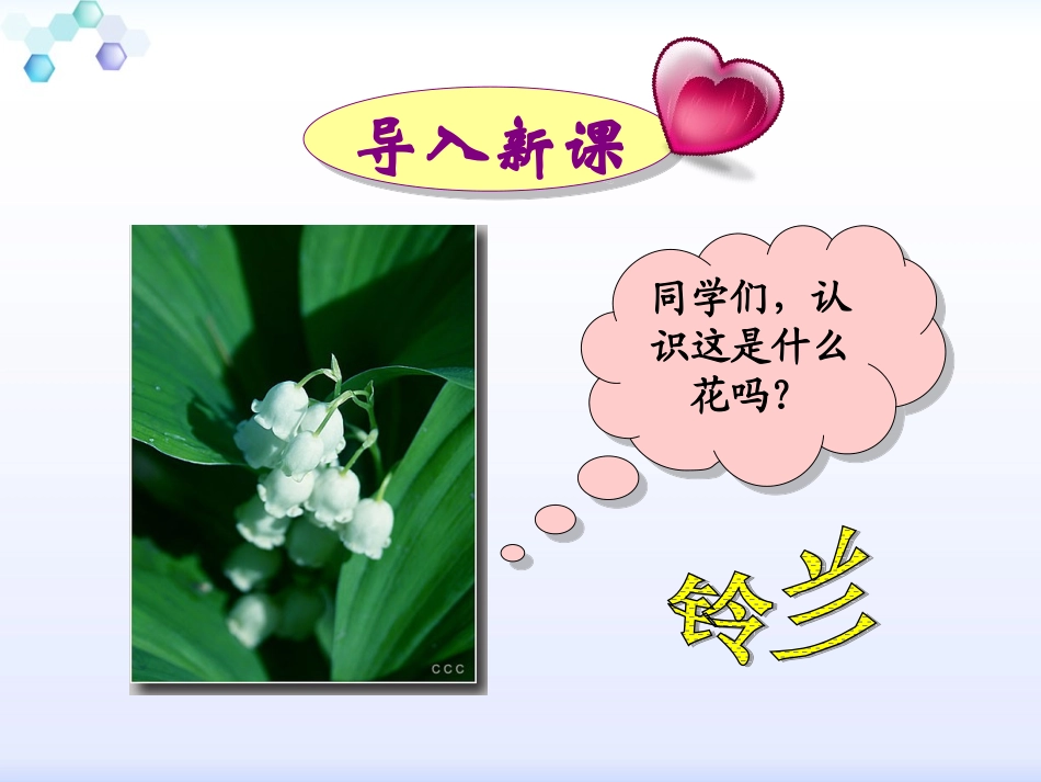 7我不是最弱小的 (2)_第1页