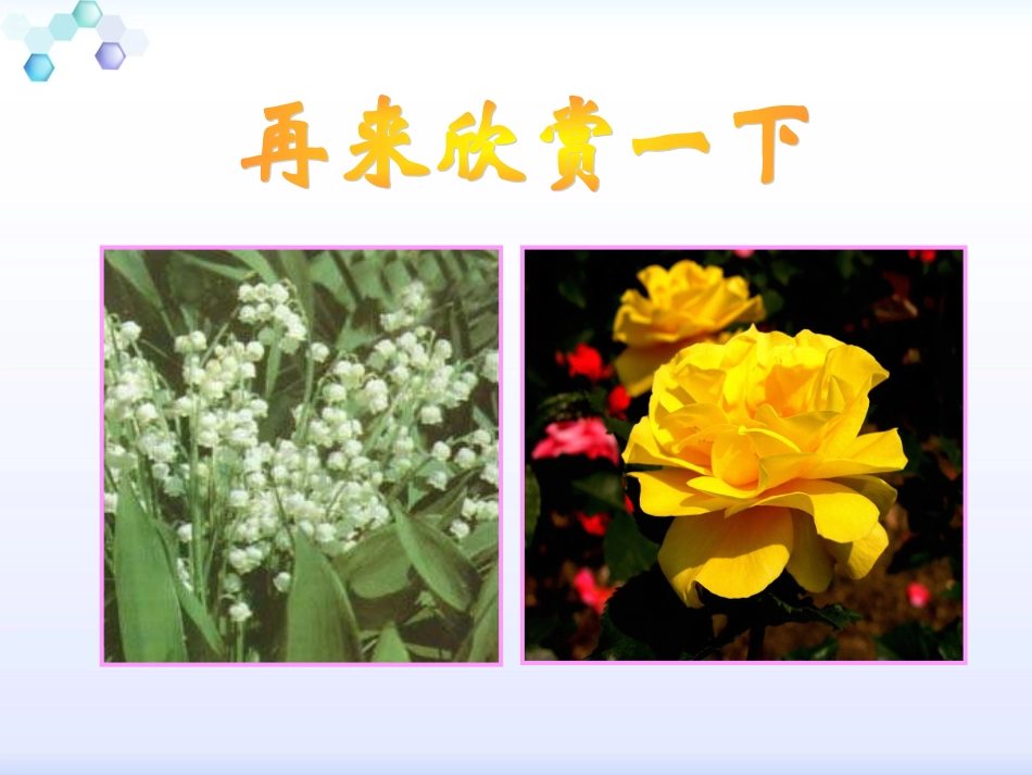 7我不是最弱小的 (2)_第3页