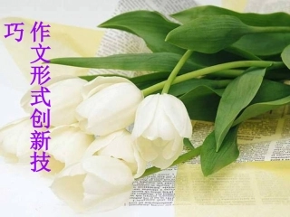 作文形式的创新