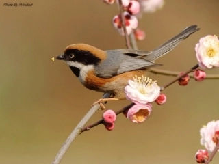 美丽地球幻灯片ok