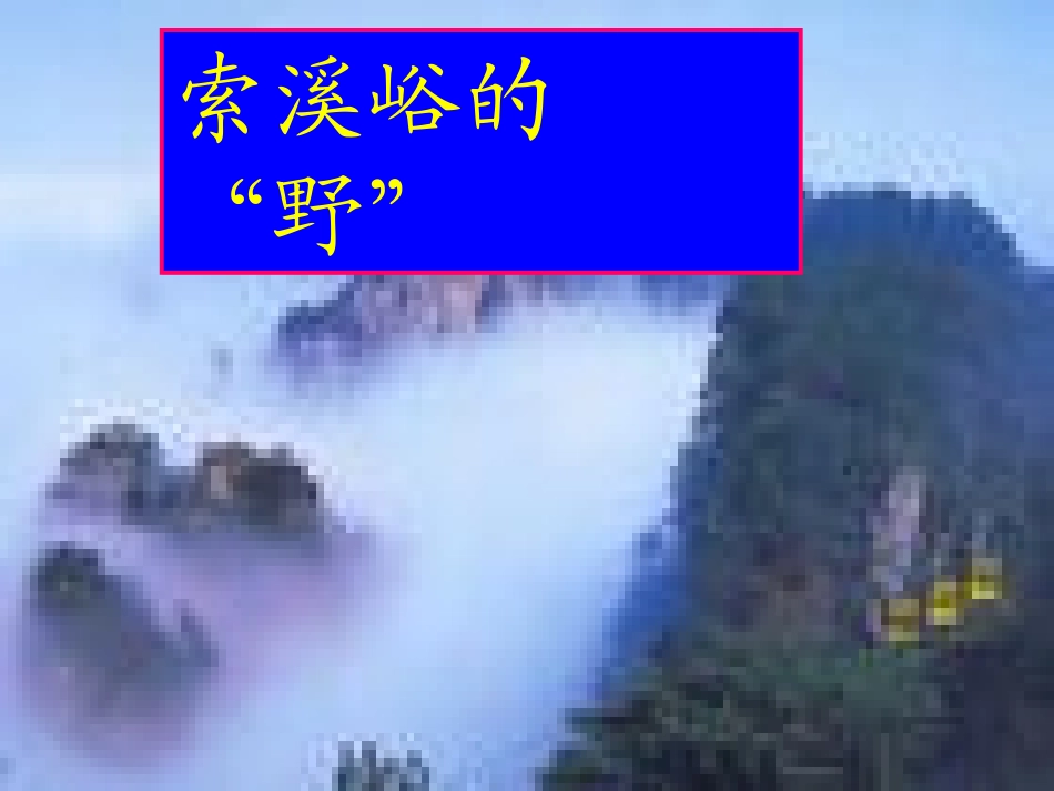 《索溪峪的野》_第1页