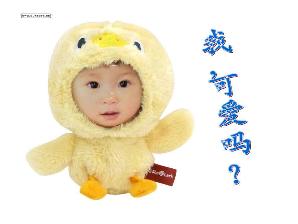 我喜欢的玩具_第1页