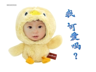 我喜欢的玩具