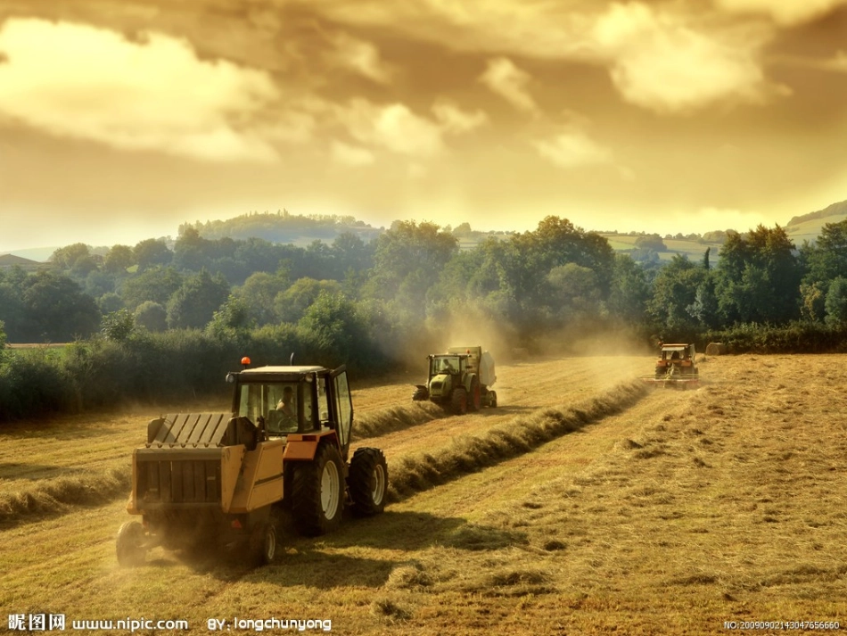 金色的秋天作文_第3页