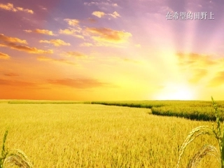 金色的秋天作文